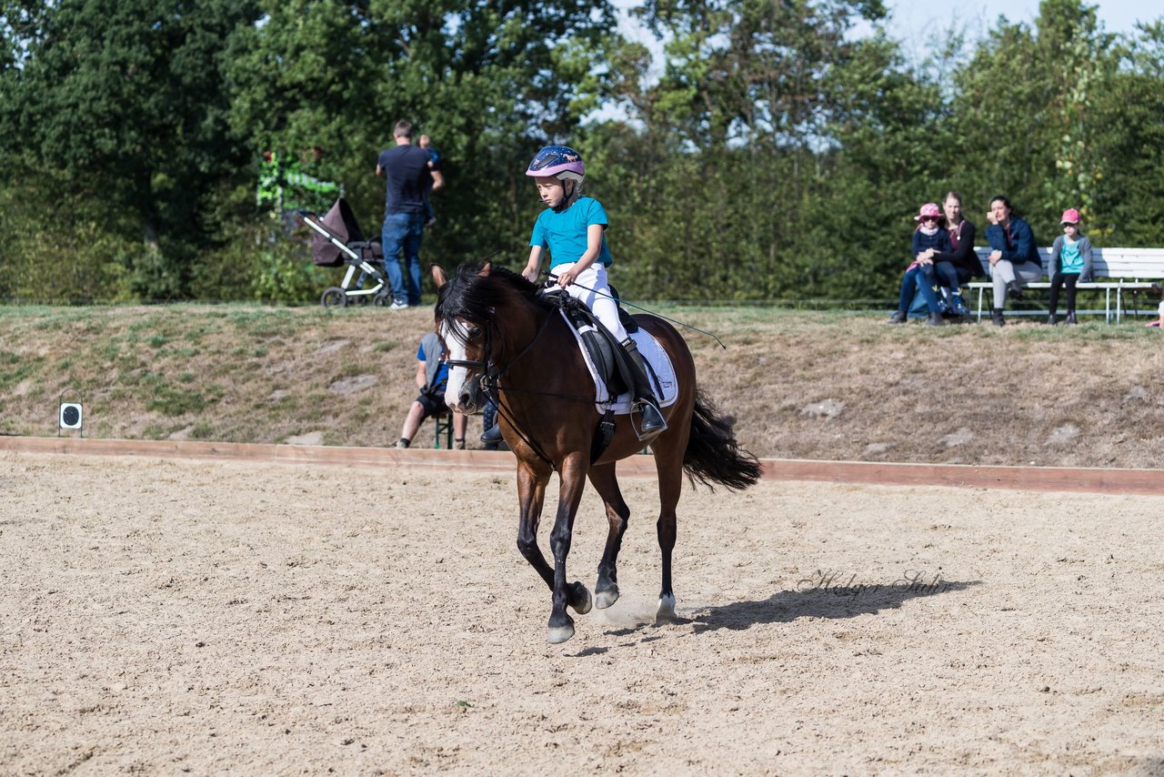 Bild 80 - Pony Akademie Turnier